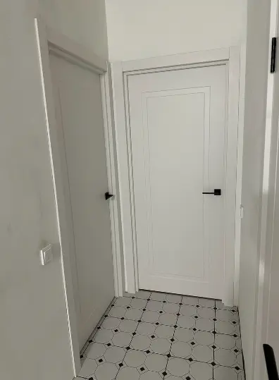 Межкомнатная дверь ЧФД Твин 170 ПГ