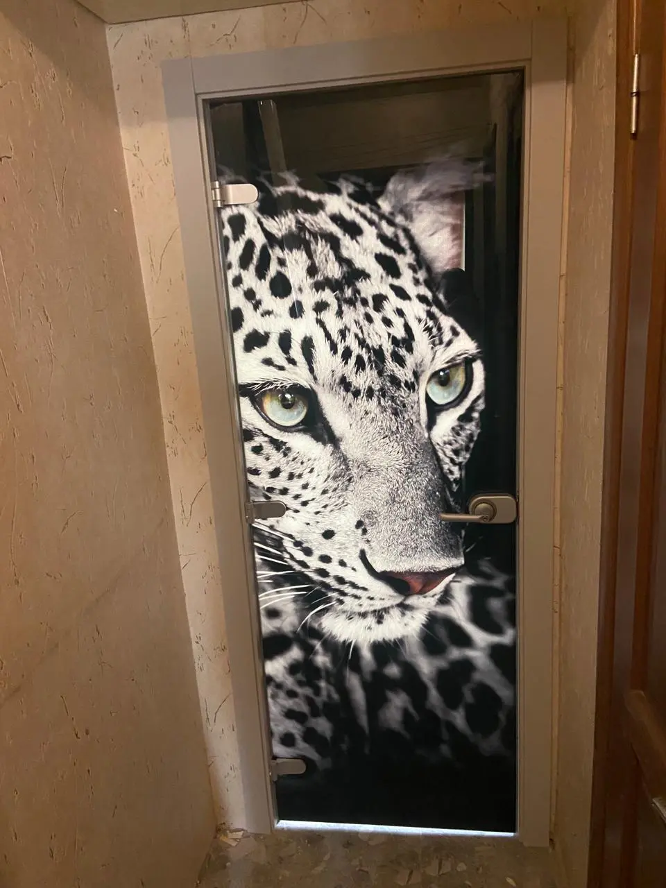 Дверь стеклянная MG-Animals 9