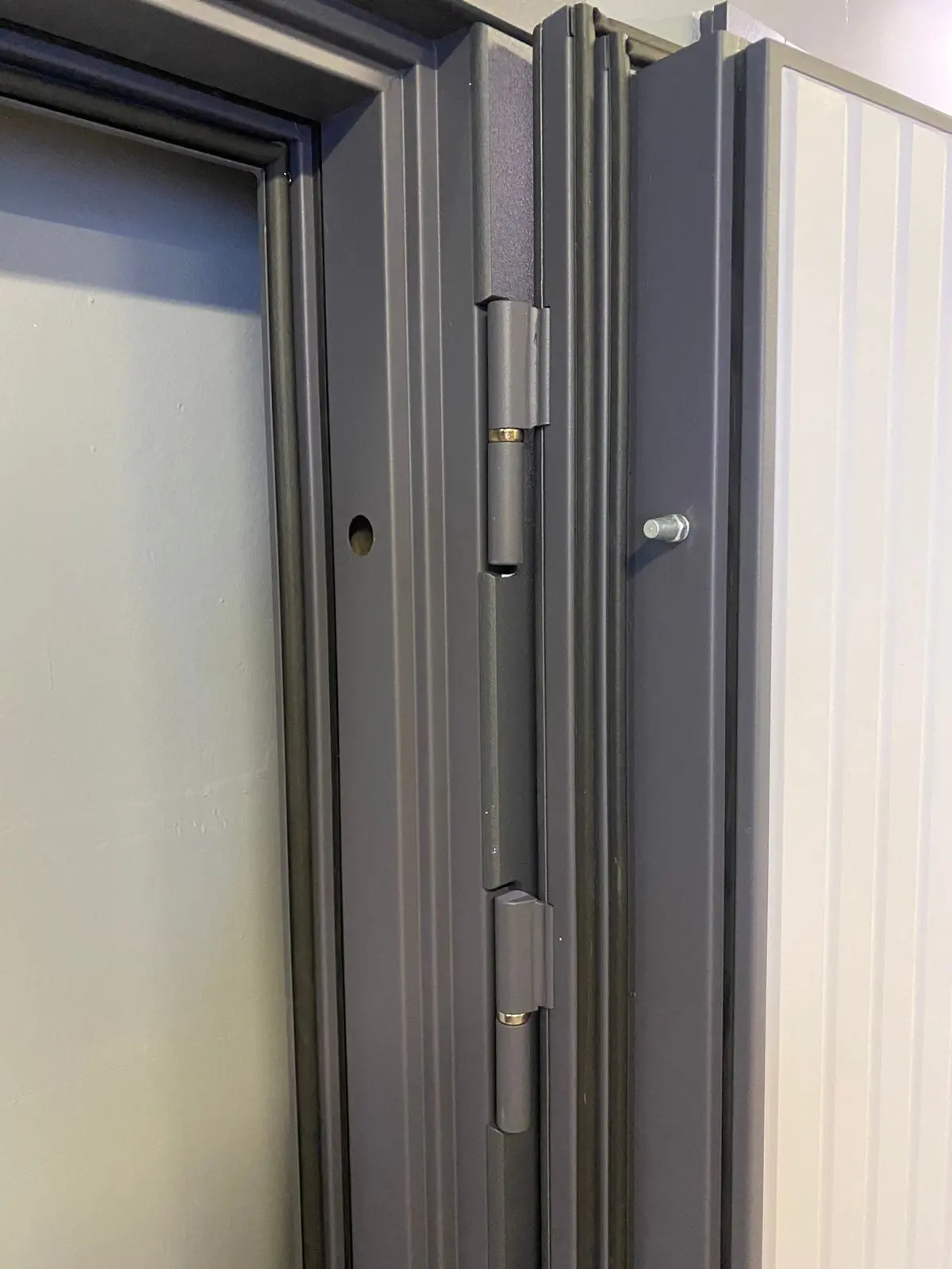 Входная дверь с терморазрывом ДИВА Скандинавия