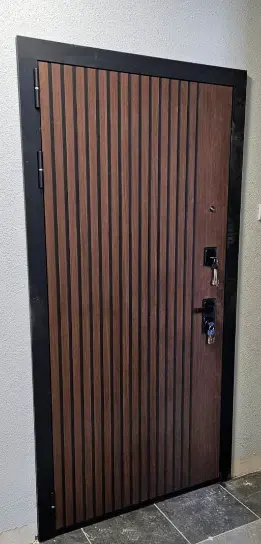 Входная дверь глухая с зеркалом и шумоизоляцией Гранит Шторм 001 Светлая 6 мм