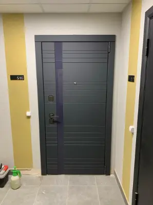 Входная дверь с шумоизоляцией Vega Vichenzo