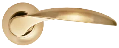 MH-07_SG