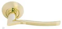 Дверная ручка раздельная RAP 3 SG-GP