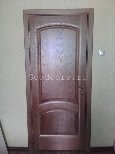 Межкомнатная дверь YD Александрит ПГ дуб натуральный Дуб