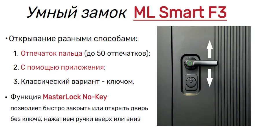 Входная дверь с электронным замком ДК-30 зеркало