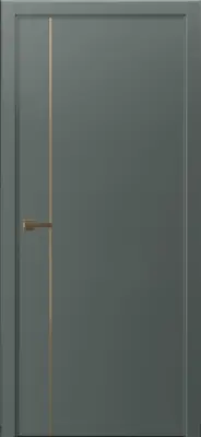 Межкомнатная дверь Аэлита ЛЭВЭЛ Стронг