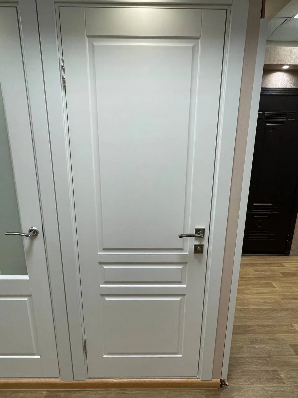 Межкомнатная дверь YD Рейне эмаль Арктика