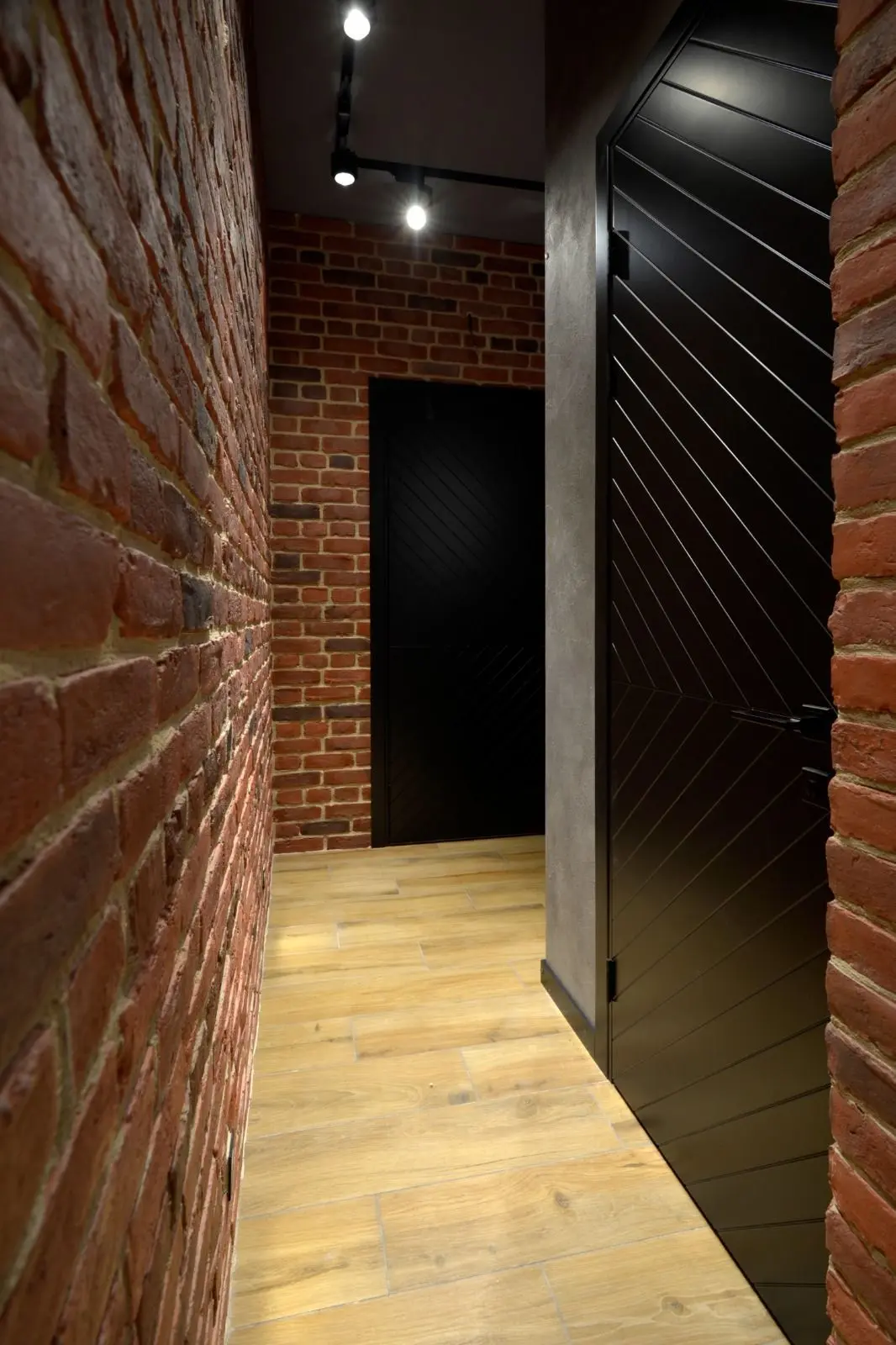 Межкомнатная дверь Color №3 RAL9011 Черный