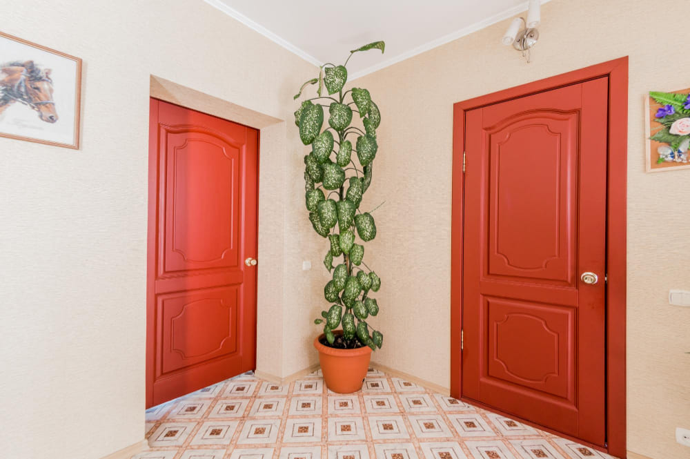 Цвет межкомнатных дверей